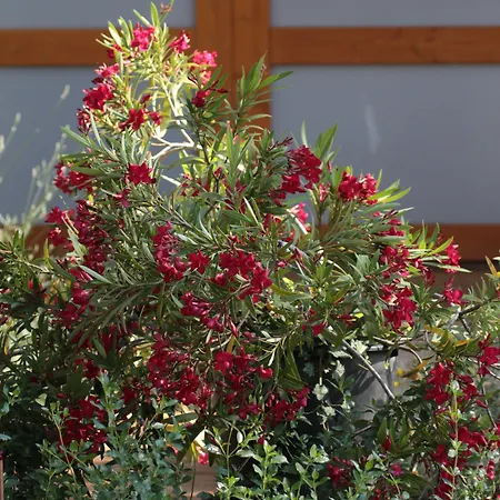 Bed and breakfast 4 Bears 3*