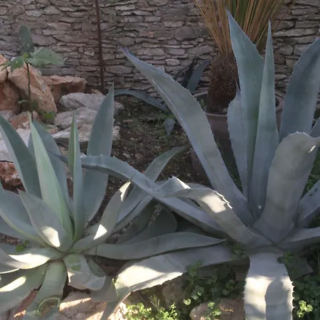 4 Bears Bed and breakfast Nimes