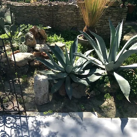 Bed & Breakfast 4 Bears Nîmes