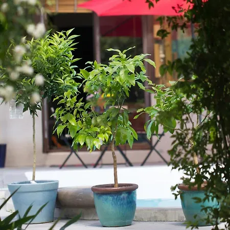 Bed and breakfast 4 Bears 3*