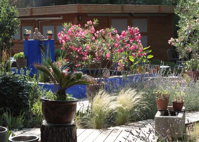 4 Bears Отель типа 