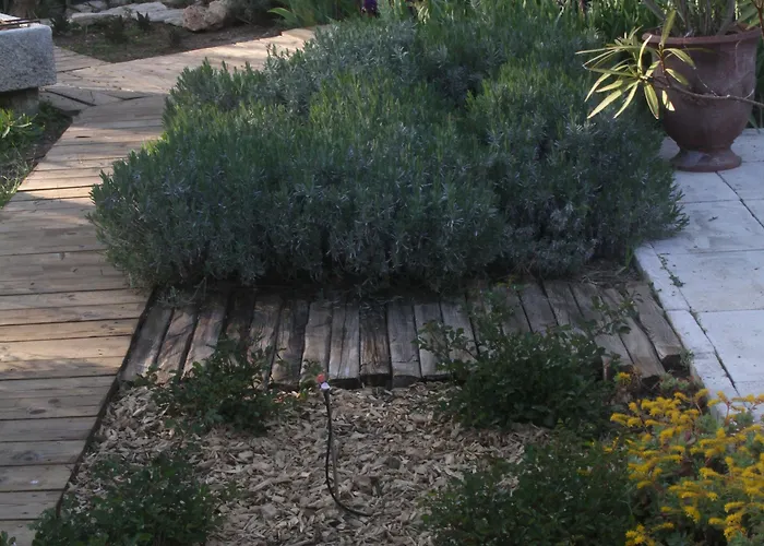 4 Bears Отель типа 