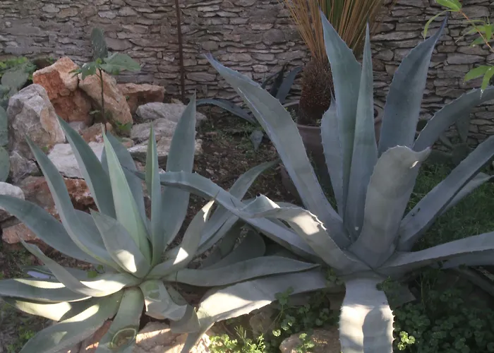 4 Bears Отель типа 